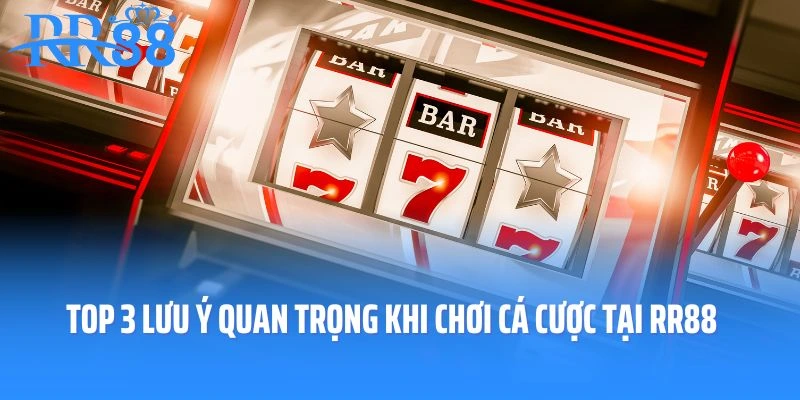 Top 3 lưu ý quan trọng khi chơi cá cược tại RR88