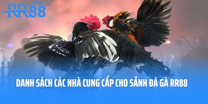 Danh sách các nhà cung cấp cho sảnh đá gà RR88