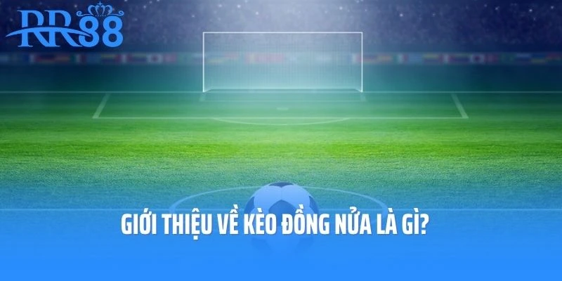 Giới thiệu về kèo đồng nửa là gì?